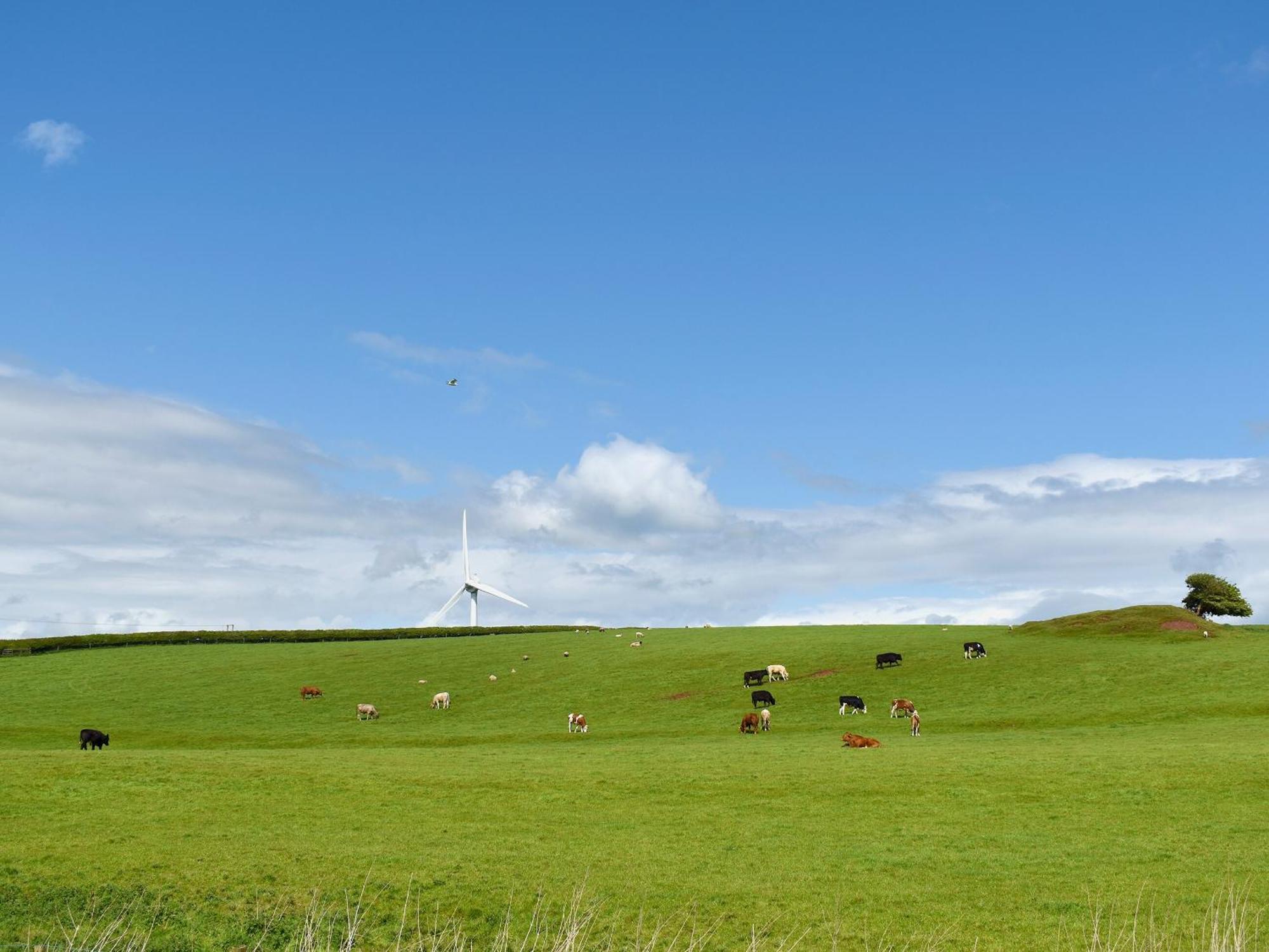 Birch Lodge - Uk30006 Lindal in Furness ภายนอก รูปภาพ