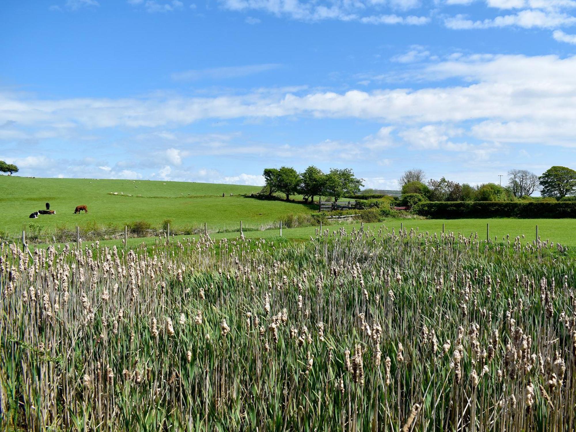 Birch Lodge - Uk30006 Lindal in Furness ภายนอก รูปภาพ