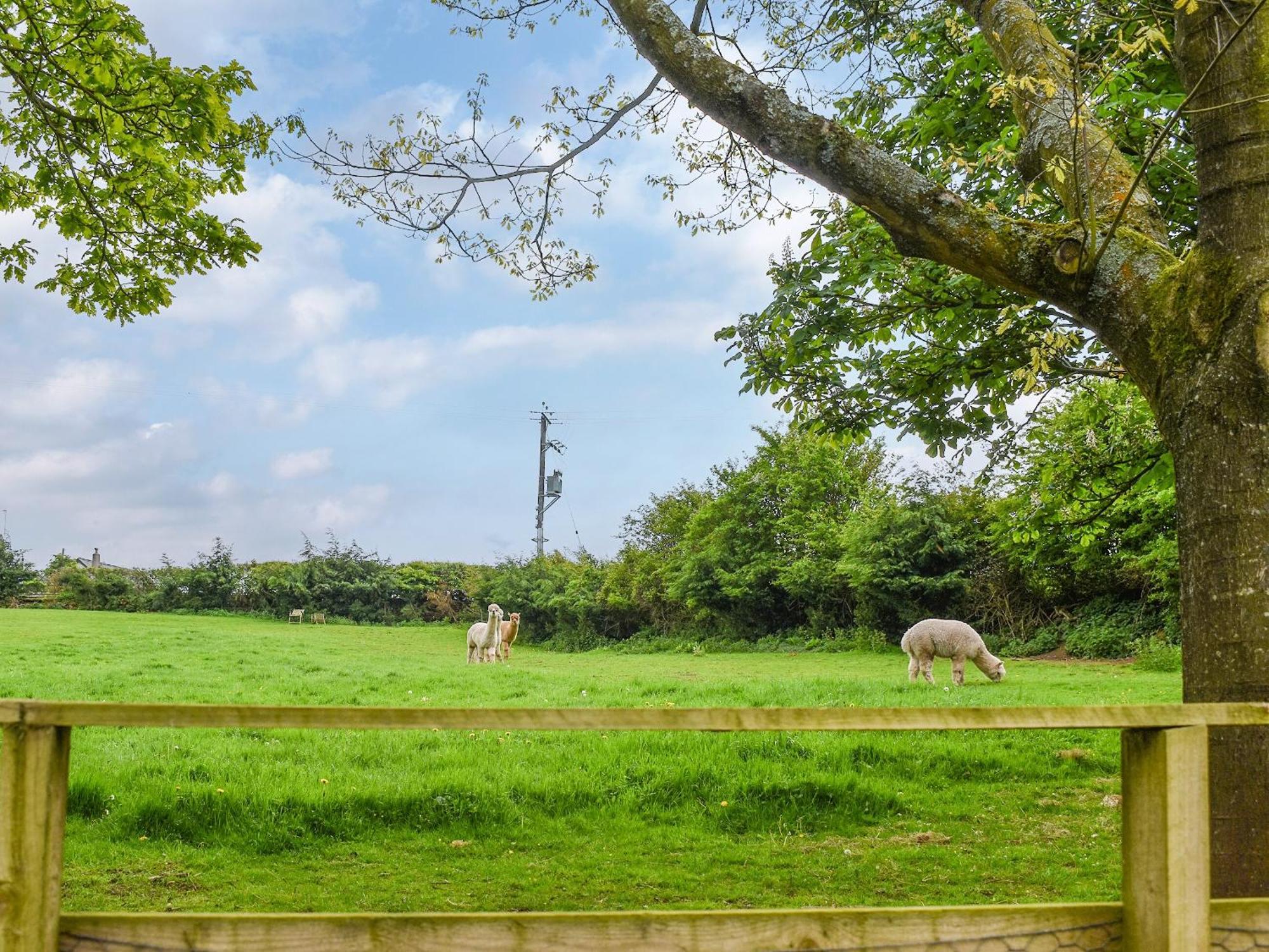 Birch Lodge - Uk30006 Lindal in Furness ภายนอก รูปภาพ